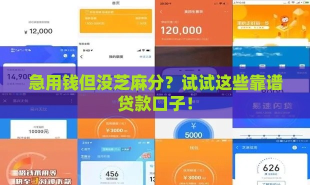 急用钱但没芝麻分？试试这些靠谱贷款口子！