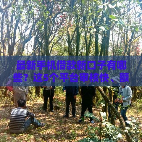 最新手机借款新口子有哪些？这5个平台审核快、额度高！