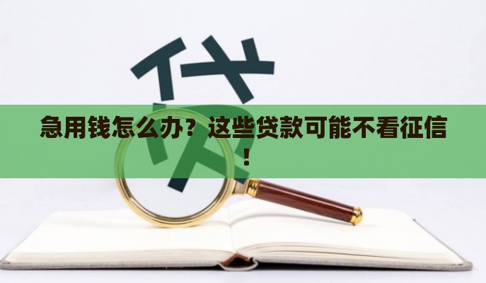 急用钱怎么办？这些贷款可能不看征信！