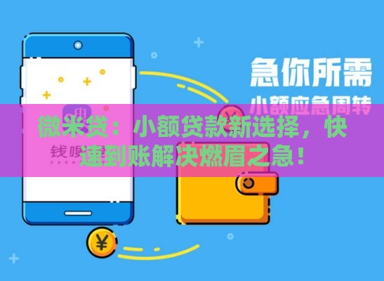 微米贷：小额贷款新选择，快速到账解决燃眉之急！
