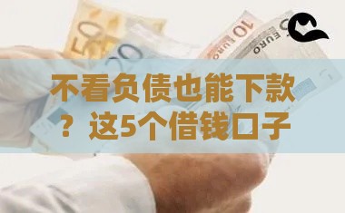 不看负债也能下款？这5个借钱口子真的靠谱吗