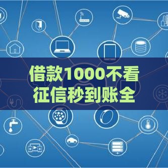 借款1000不看征信秒到账全攻略