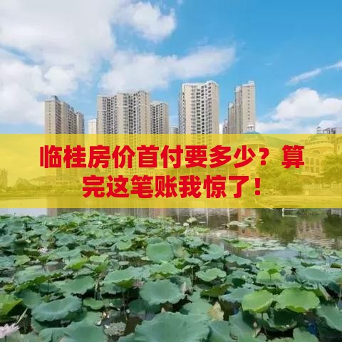 临桂房价首付要多少？算完这笔账我惊了！