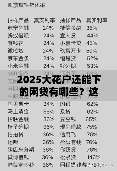 2025大花户还能下的网贷有哪些？这10个平台亲测有效！