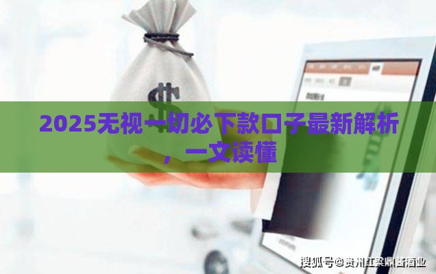 2025无视一切必下款口子最新解析，一文读懂