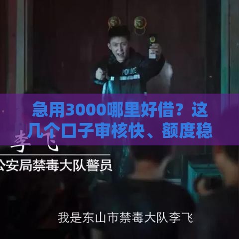 急用3000哪里好借？这几个口子审核快、额度稳！