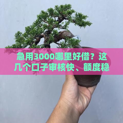 急用3000哪里好借？这几个口子审核快、额度稳！