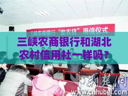三峡农商银行和湖北农村信用社一样吗？贷款选哪个好