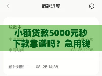 小额贷款5000元秒下款靠谱吗？急用钱必看当天到账攻略