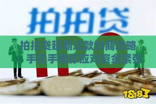 拍拍贷延期还款协商攻略：手把手教你应对资金紧张