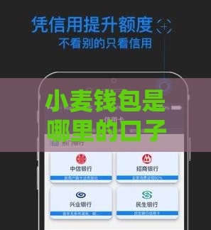 小麦钱包是哪里的口子？实测靠谱平台避坑指南