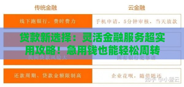贷款新选择：灵活金融服务超实用攻略！急用钱也能轻松周转