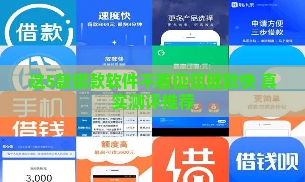 这5款借款软件不看征信放款快 真实测评推荐