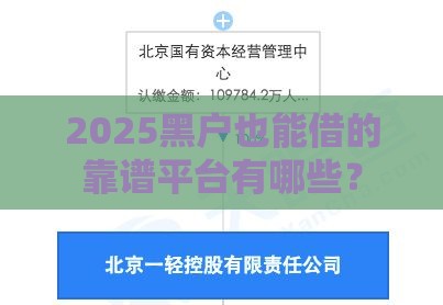 2025黑户也能借的靠谱平台有哪些？