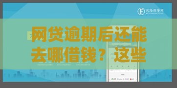 网贷逾期后还能去哪借钱？这些靠谱渠道帮你应急避坑！