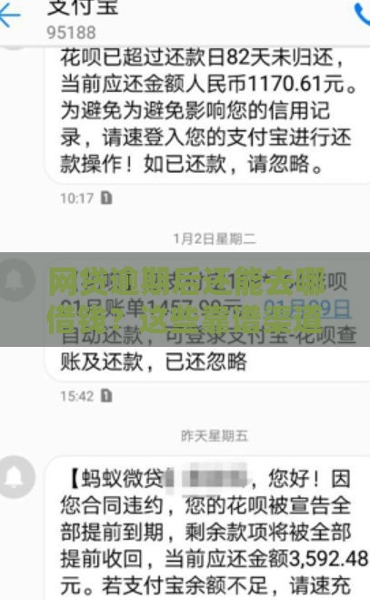 网贷逾期后还能去哪借钱？这些靠谱渠道帮你应急避坑！