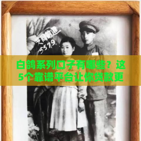 白鸽系列口子有哪些？这5个靠谱平台让你贷款更省心！