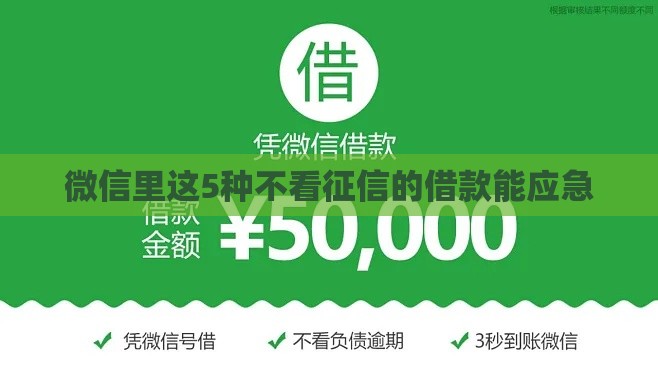 微信里这5种不看征信的借款能应急