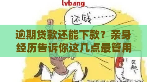 逾期贷款还能下款？亲身经历告诉你这几点最管用！
