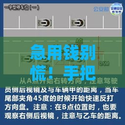 急用钱别慌！手把手教你如何查找靠谱贷款平台