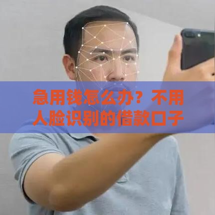 急用钱怎么办？不用人脸识别的借款口子到底靠不靠谱？