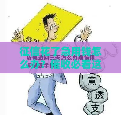 征信花了急用钱怎么办？催收必看这3招！