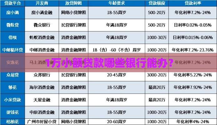 1万小额贷款哪些银行能办？