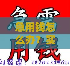 急用钱怎么办？实测这5个靠谱下款口子，手把手教你避坑！