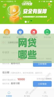 网贷哪些软件容易下款？这5个平台审核快、通过率高！