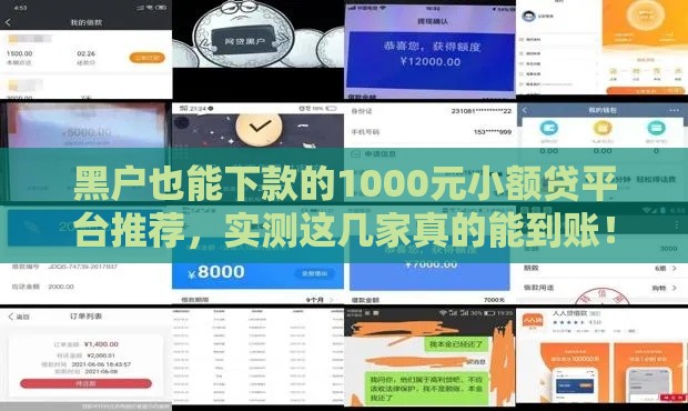 黑户也能下款的1000元小额贷平台推荐,实测这几家真的能到账! 黑户也能下款的1000元小额贷平台推荐,实测这几家真的能到账!