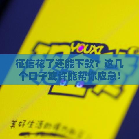 征信花了还能下款？这几个口子或许能帮你应急！