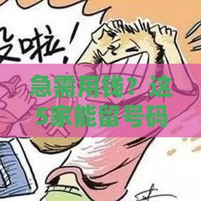 急需用钱？这5家能留号码的贷款网站安全又省心