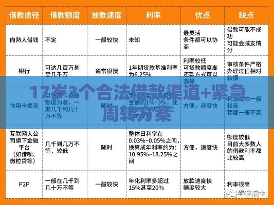 17岁3个合法借款渠道+紧急周转方案