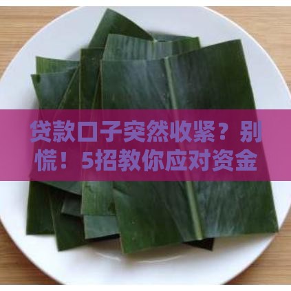 贷款口子突然收紧？别慌！5招教你应对资金难题