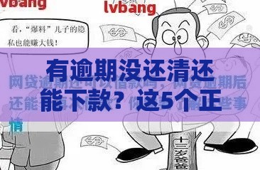 有逾期没还清还能下款？这5个正规网贷平台或许能帮你！
