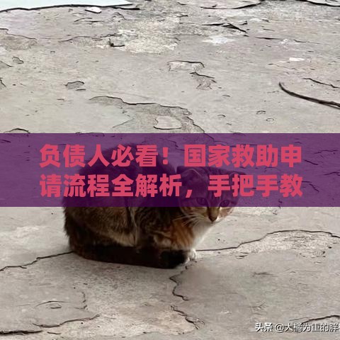 负债人必看！国家救助申请流程全解析，手把手教你减轻压力