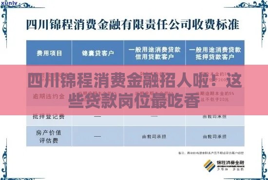 四川锦程消费金融招人啦！这些贷款岗位最吃香