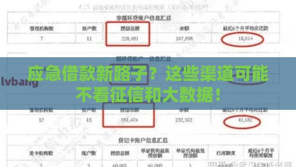 应急借款新路子？这些渠道可能不看征信和大数据！
