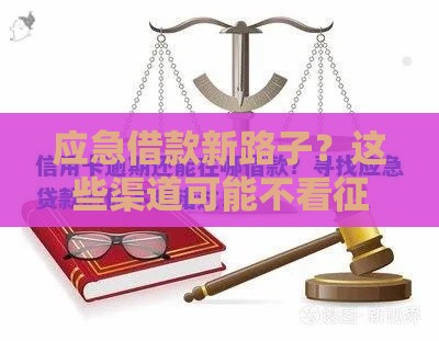 应急借款新路子？这些渠道可能不看征信和大数据！