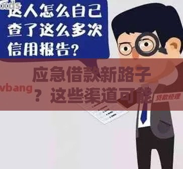 应急借款新路子？这些渠道可能不看征信和大数据！
