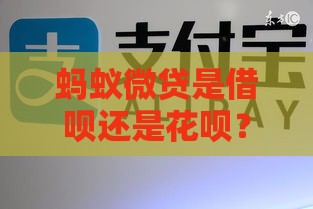 蚂蚁微贷是借呗还是花呗？3分钟搞懂区别！