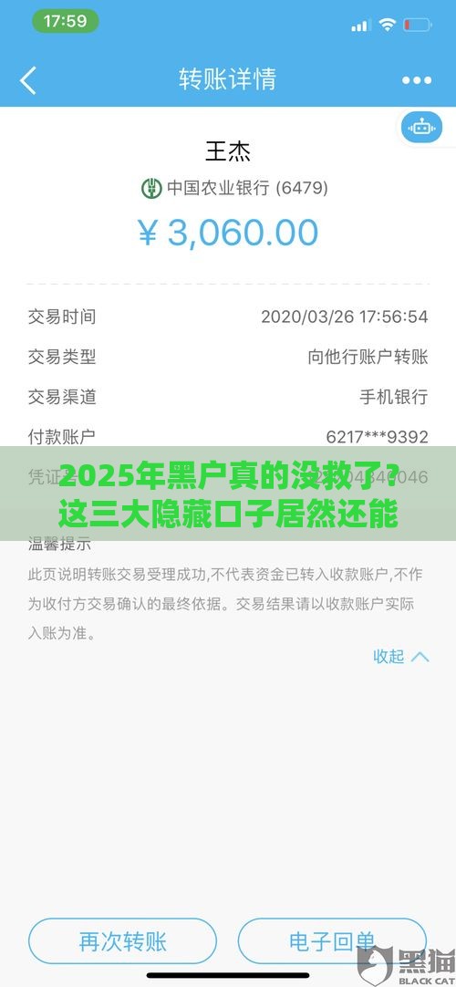 2025年黑户真的没救了？这三大隐藏口子居然还能下款！
