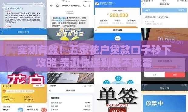 实测有效！五家花户贷款口子秒下攻略 亲测快速到账不踩雷