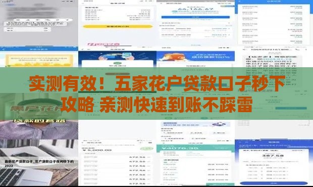 实测有效！五家花户贷款口子秒下攻略 亲测快速到账不踩雷