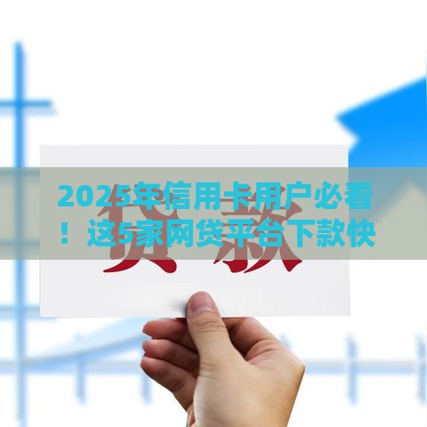 2025年信用卡用户必看！这5家网贷平台下款快、通过率高