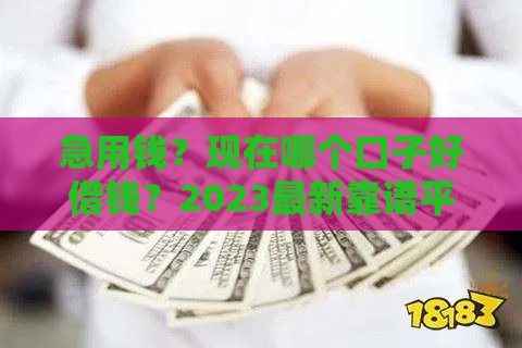 急用钱？现在哪个口子好借钱？2023最新靠谱平台推荐
