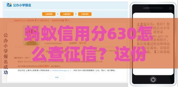 蚂蚁信用分630怎么查征信？这份详细攻略手把手教你操作
