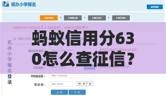 蚂蚁信用分630怎么查征信？这份详细攻略手把手教你操作