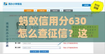 蚂蚁信用分630怎么查征信？这份详细攻略手把手教你操作