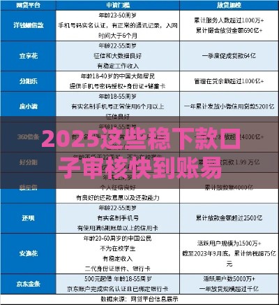 2025这些稳下款口子审核快到账易